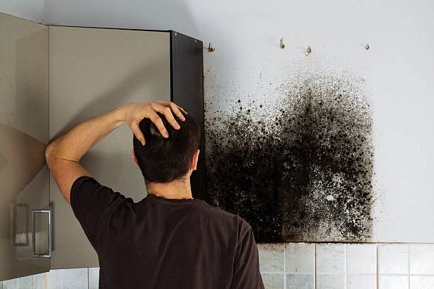 Best Bathroom Mold Remediation in Nahunta, GA